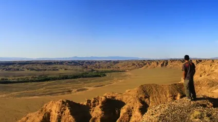 степ фото