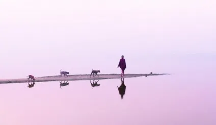 Суфійські притчі і філософія