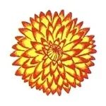 Квіти жоржини - посадка, вирощування, сорти, фото жоржин, улюблені квіти (жоржини) Квіти жоржини - посадка, вирощування, сорти, фото жоржин, улюблені квіти