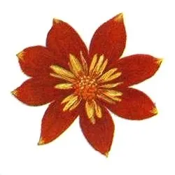 Квіти жоржини - посадка, вирощування, сорти, фото жоржин, улюблені квіти (посадка) Квіти жоржини - посадка, вирощування, сорти, фото жоржин, улюблені квіти