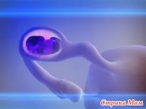 Що таке позаматкова вагітність країна мам (можна визначити позаматкову) Що таке позаматкова вагітність країна мам