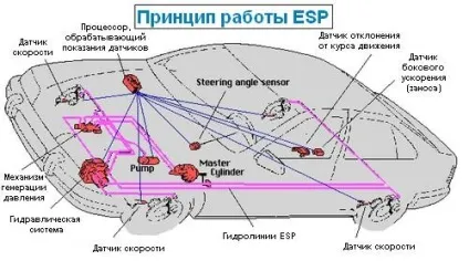 Що таке esp (система курсової стійкості) і як працює esp (Система курсової стійкості) Що таке esp (система курсової стійкості) і як працює esp