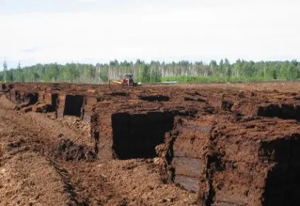 Що таке фрезерний торф фрезерний спосіб видобутку торфу