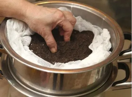 Що таке пікіровка розсади (таке) Що таке пікіровка розсади