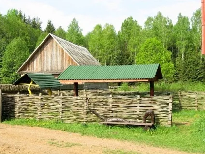 Що таке зелений екотуризм