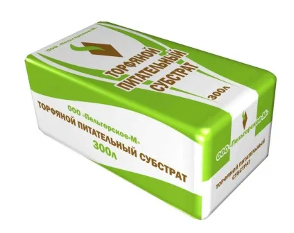 Що таке пікіровка розсади (таке) Що таке пікіровка розсади