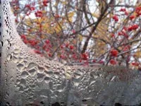 Як усунути конденсат в приміщенні