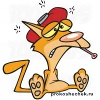 Як дізнатися чи хвора кішка первинний огляд, вимірювання температури, пульсу