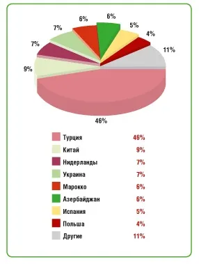 Як влаштований сучасний тепличний бізнес вУкаіни (бізнес) Як влаштований сучасний тепличний бізнес вУкаіни