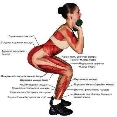 Як прибрати западини на сідницях (дані) Як прибрати западини на сідницях