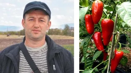 Як влаштований сучасний тепличний бізнес вУкаіни (влаштований) Як влаштований сучасний тепличний бізнес вУкаіни