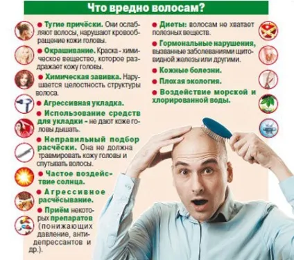 Як прибрати лисину в домашніх умовах можливо зміцнити коріння волосся (прибрати) Як прибрати лисину в домашніх умовах можливо зміцнити коріння волосся