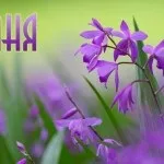 Таня, Танечка, картинки з іменами (Танечка) Таня, Танечка, картинки з іменами