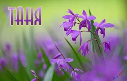 Таня, Танечка, картинки з іменами (Танечка) Таня, Танечка, картинки з іменами