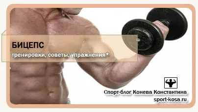 Тренування біцепса база, поради, вправи (вправи) Тренування біцепса база, поради, вправи