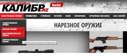 Топ 10 напрямків нових сайтів казахстана (сайтів) Топ 10 напрямків нових сайтів казахстана