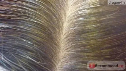 Трав'яна фарба для волосся aasha herbals - «відтінок золотисто коричневий, це мій натуральний колір