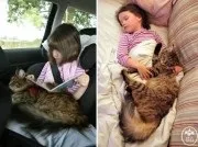 Дивовижна історія про кішку і дитини цікаве про кішок (дивовижна історія про кішку і дитини цікаве про кішок) Дивовижна історія про кішку і дитини цікаве про кішок