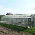 Вирощування овочів у закритому грунті, підсобне господарство (розігрітим гноєм злегка) Вирощування овочів у закритому грунті, підсобне господарство