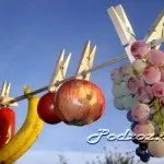 Вирощування овочів у закритому грунті, підсобне господарство (Після встановлення теплої) Вирощування овочів у закритому грунті, підсобне господарство