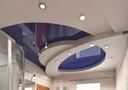 Вологостійкі види стель