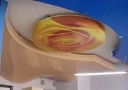Вологостійкі види стель