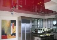 Вологостійкі види стель