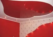 Вологостійкі види стель