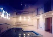 Вологостійкі види стель