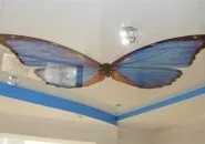Вологостійкі види стель