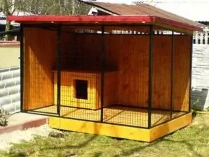 Вольєр для собаки своїми руками покрокова інструкція з кресленнями і фото (руками) Вольєр для собаки своїми руками покрокова інструкція з кресленнями і фото