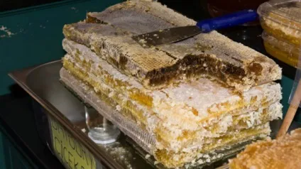 В яких країнах люди живуть довше і чому (живуть) В яких країнах люди живуть довше і чому