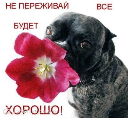 Внутрішній зів розширено - на (розширено) Внутрішній зів розширено - на