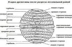 Вхід в льох особливості пристрою (фото) (льох) Вхід в льох особливості пристрою (фото)