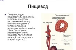 Закид жовчі в стравохід симптоми і лікування (симптоми) Закид жовчі в стравохід симптоми і лікування