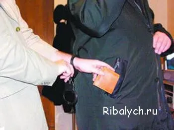 Кишенькові злодії цікаві факти (один цікавий спосіб) Кишенькові злодії цікаві факти