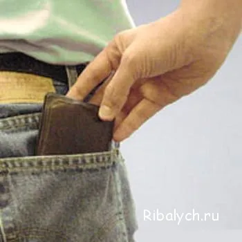 Кишенькові злодії цікаві факти (один цікавий спосіб) Кишенькові злодії цікаві факти