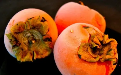 Зберігання хурми в домашніх умовах (як правильно зберігати хурму) Зберігання хурми в домашніх умовах