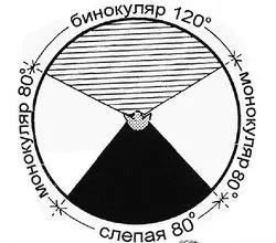 зір тварин
