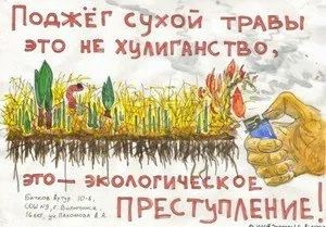 Нотатки бережи грунт