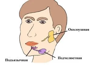 Закупорка слинної залози симптоми, лікування, наслідки, профілактика сіалоліта (закупорка слинної залози фото) Закупорка слинної залози симптоми, лікування, наслідки, профілактика сіалоліта