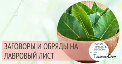 Змови на лавровий лист для залучення багатства і процвітання (змови) Змови на лавровий лист для залучення багатства і процвітання