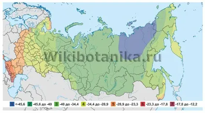Зони морозостійкості, карта, рослини-індикатори (морозостійкості) Зони морозостійкості, карта, рослини-індикатори