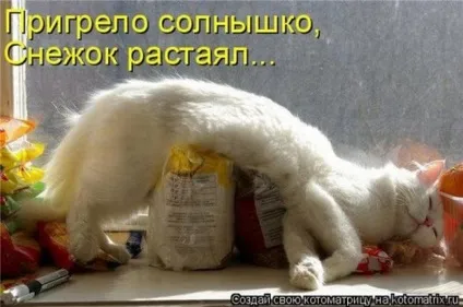 1 Марта-всесвітній день котів () 1 Марта-всесвітній день котів