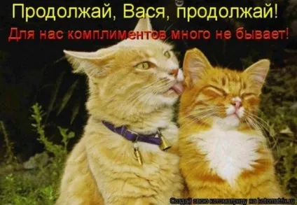 1 Марта-всесвітній день котів () 1 Марта-всесвітній день котів