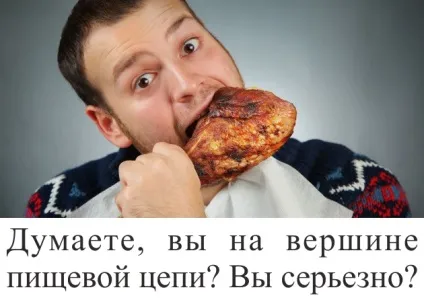 10 Причин, чому не варто ставати веганів - go veg! Вегетаріанство як спосіб життя (чому) 10 Причин, чому не варто ставати веганів - go veg! Вегетаріанство як спосіб життя