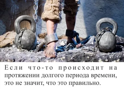 10 Причин, чому не варто ставати веганів - go veg! Вегетаріанство як спосіб життя (веганів) 10 Причин, чому не варто ставати веганів - go veg! Вегетаріанство як спосіб життя