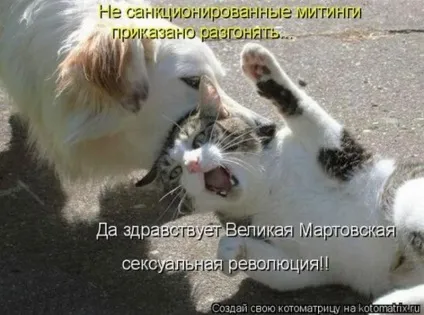 1 Марта-всесвітній день котів () 1 Марта-всесвітній день котів
