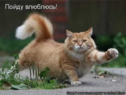 1 Марта-всесвітній день котів () 1 Марта-всесвітній день котів