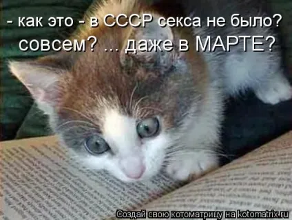 1 Марта-всесвітній день котів () 1 Марта-всесвітній день котів